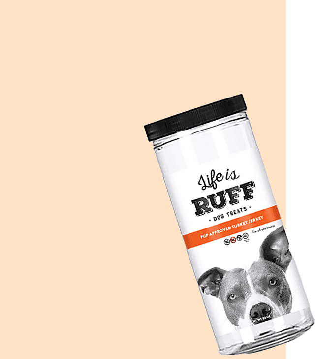 Pet Care2.png image
