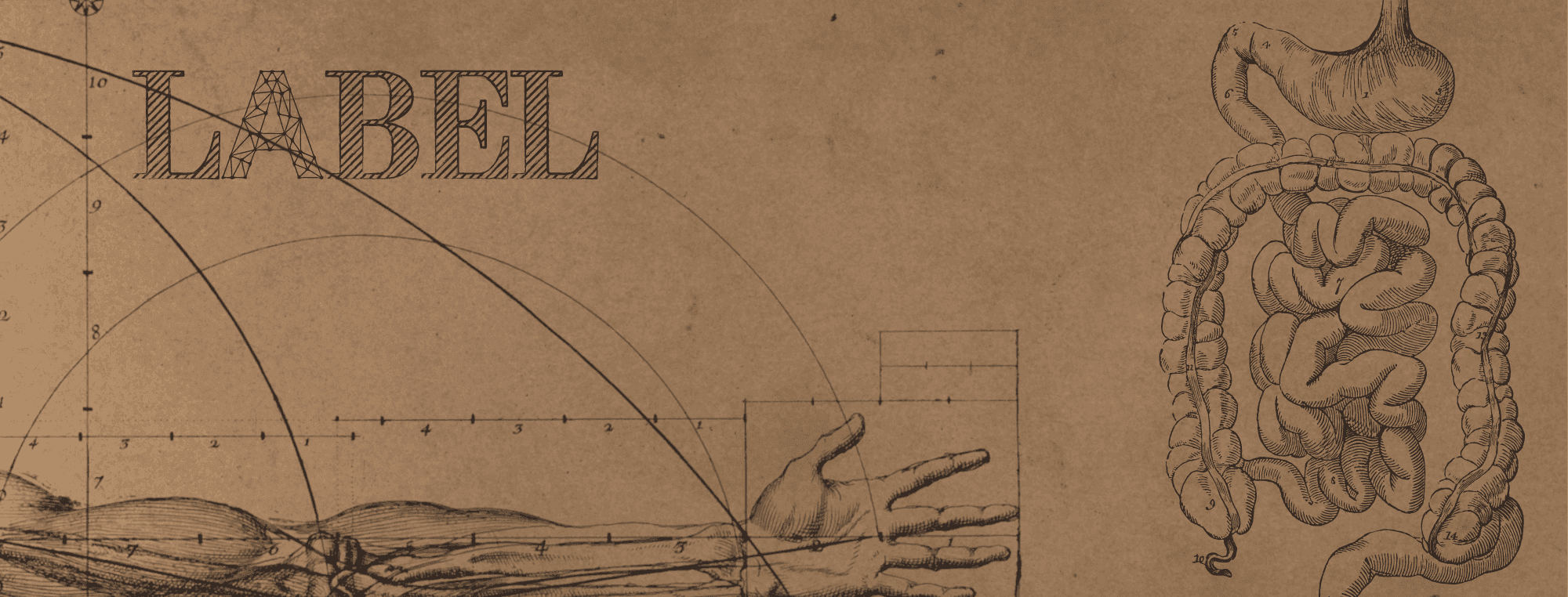 The Anatomy of a Label